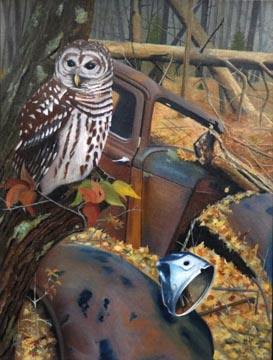 Barred Owl - Oil on Canvas by William C. Turner