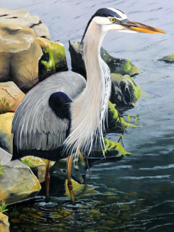 An oil painting of a Florida Heron