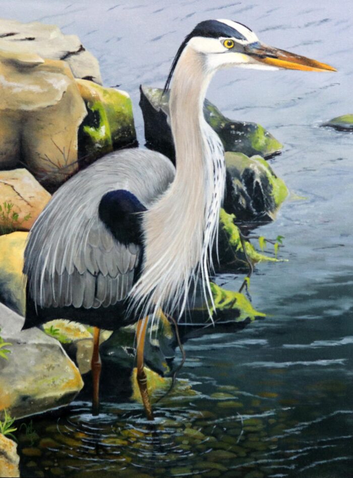 An oil painting of a Florida Heron