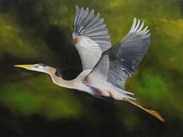 An oil painting of a crane in flight